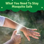 Best Way To Get Rid Of Mosquitoes On Patio