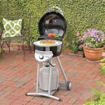 Char Broil Gas Patio Bistro